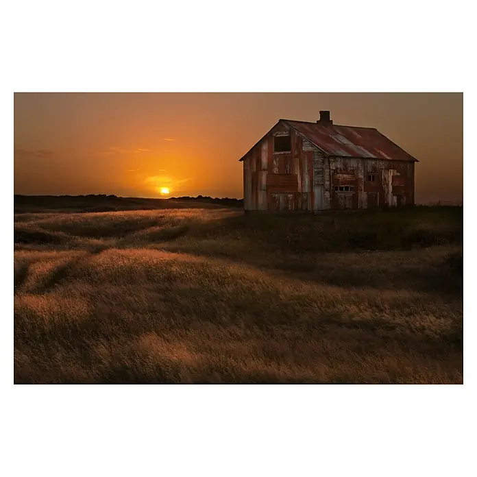 Papermoon Premium collection Fototapete Sep Sun Scheune Feld - B x H: 300 x 223 cm, Vlies - Stimmungsvolles Bild eines verlassenen Hauses bei Sonnenuntergang. Das rostfarbene Gebäude hebt sich vor dem goldenen Himmel und dem weiten Feld ab.