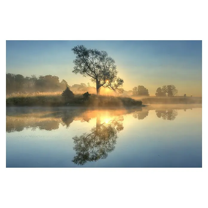 Papermoon Premium collection Fototapete Morgenreflexion - B x H: 500 x 280 cm, Vlies - Friedliche Morgenszene mit einem Baum, der sich im ruhigen Wasser spiegelt, während die Sonne sanft durch die Äste scheint.
