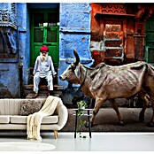Papermoon Premium collection Fototapete Indien (B x H: 400 x 260 cm, Vlies) | BAUHAUS
