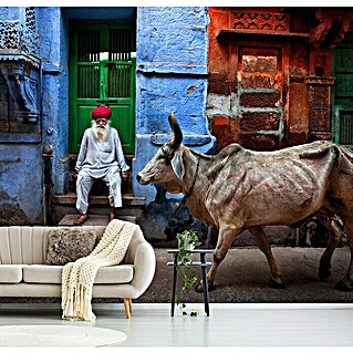 Papermoon Premium collection Fototapete Indien (B x H: 500 x 280 cm, Vlies)