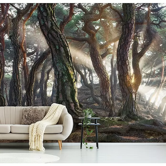 Papermoon Premium collection Fototapete Heilige Kiefern - B x H: 400 x 260 cm, Vlies - Ein atemberaubendes Waldwandbild mit Sonnenstrahlen, als dramatische Kulisse hinter einem gemütlichen Sofa und Beistelltisch in einem Raum.