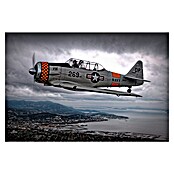 Papermoon Premium collection Fototapete Über unter (B x H: 450 x 280 cm, Vlies) | BAUHAUS