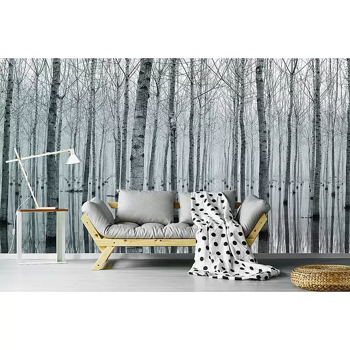 Papermoon Premium collection Fototapete Birkenmeer - B x H: 200 x 149 cm, Vlies - Helles Holz-Futonsofa mit grauen Kissen, gepunkteter Decke und Lampe auf Tisch, in einem Raum mit Waldmotiv-Tapete.