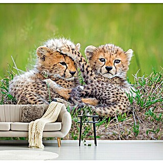 Papermoon Premium collection Fototapete Katzen Gepard Baby (B x H: 200 x 149 cm, Vlies)