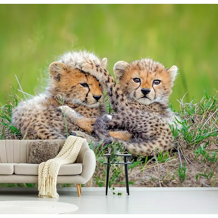 Papermoon Premium collection Fototapete Katzen Gepard Baby - B x H: 200 x 149 cm, Vlies - Wanddekoration mit einem fesselnden Geparden-Wandbild, das die Essenz der Wildnis in Ihr Interieur bringt. Perfekt, um jedem Raum Charakter zu verleihen.