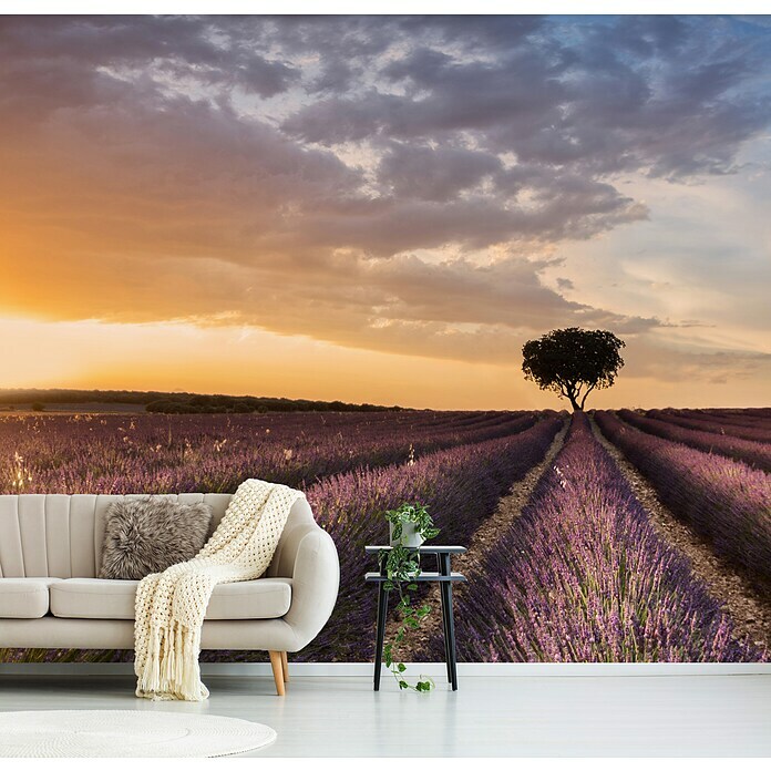 Papermoon Premium collection Fototapete Ziel-Lavendel (B x H: 200 x 149 cm,  Vlies) | BAUHAUS