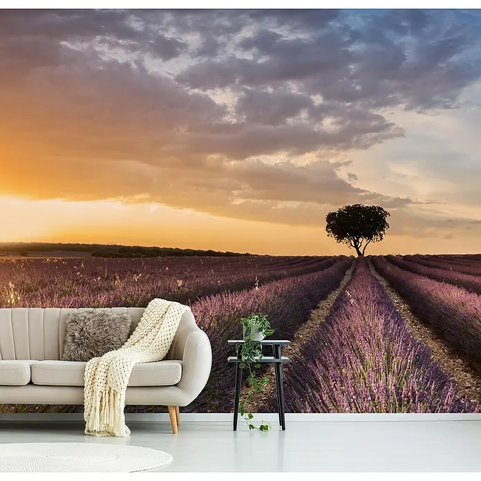 Papermoon Premium collection Fototapete Ziel-Lavendel - B x H: 350 x 260 cm, Vlies - Eine Wandtapete mit einem Lavendelfeld bei Sonnenuntergang, die dem Raum eine ruhige und natürliche Atmosphäre verleiht.