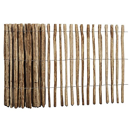 T & J Staketen Rollzaun Rollo 4 cm (B x H: 1 000 x 120 cm, Holz)