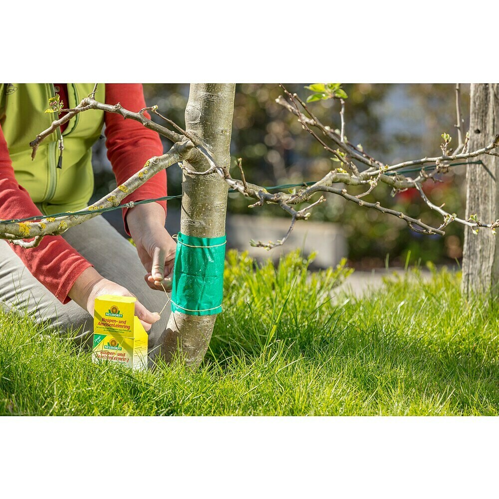 Neudorff Fascia Adesiva Anti-Bruco E Formiche - 5 Metri, Per Alberi Da Frutto, Rispettosa Dell'Ambiente, Senza Insetticidi - 5