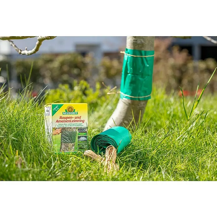 Neudorff Oruga y anillo de cola de hormiga - 5 m - Primer plano del producto Neudorff anillo de cola para orugas y hormigas, sobre hierba junto a un árbol con cinta protectora.