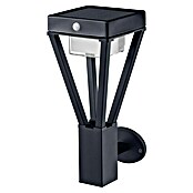 Ledvance Endura Sol Bouquet LED-Solar-Außenwandleuchte (Warmweiß) | BAUHAUS