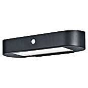 Ledvance LED-Solar-Außenwandleuchte Endura Solar Oval Wall (Solarzelle, Aluminium, Warmweiß, Schwarz) | BAUHAUS