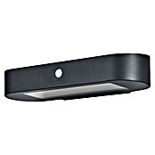 Ledvance LED-Solar-Außenwandleuchte Endura Solar Oval Wall (Solarzelle, Aluminium, Warmweiß, Schwarz) | BAUHAUS