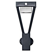 Ledvance Endura Sol Bouquet LED-Solar-Außenwandleuchte (Warmweiß) | BAUHAUS