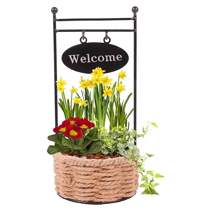 Piardino Garten-Arrangement - Bunte Mischung - Diagonale Ansicht