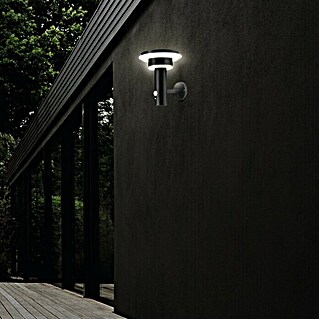 Ledvance Endura Sol Cirkle LED-Sensor-Außenwandleuchte (6 W, L x B x H: 18,5 x 17,8 x 22 cm, Schwarz, Warmweiß)