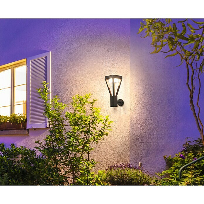 Ledvance Endura Sol Bouquet LED-Solar-Außenwandleuchte | BAUHAUS (Warmweiß)