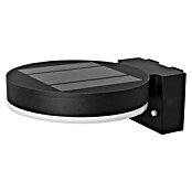 Ledvance Endura Sol Cirkle LED-Sensor-Außenwandleuchte (6 W, L x B x H: 20 x 16 x 7 cm, Schwarz, Warmweiß) | BAUHAUS