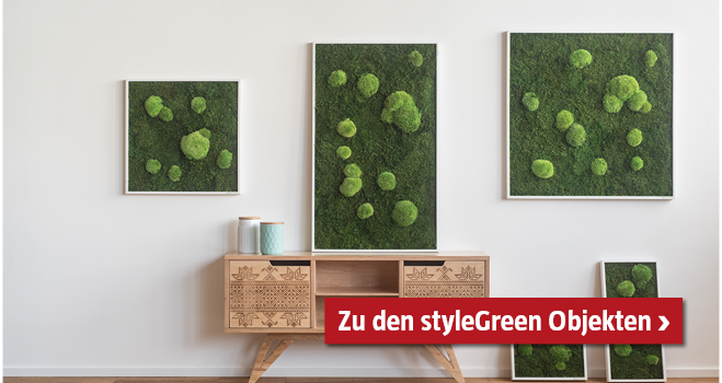 styleGreen Wandobjekte