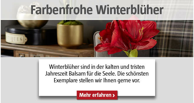Winterblüher