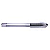 Exact Einschnittgewindebohrer (M 8, HS-Stahl) | BAUHAUS