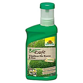 Neudorff BioKraft Vitalkur Für Buxus & Ilex (300 ml)