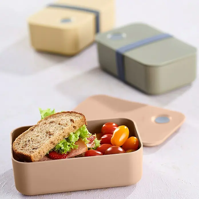 Fiambrera con banda elástica - L x An x Al: 11 x 19 x 6 cm, 1 l - Imagen de una fiambrera con sándwich y tomates. Perfecta para llevar comidas, ecológica y cómoda de usar.