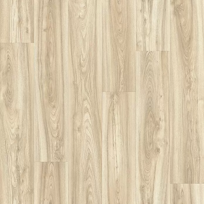 Beauflor PVC-Boden Meterware Plaza - Holzoptik, Breite: 300 cm, Beige - Heller Holzfußboden mit Naturmaserungsdielen.