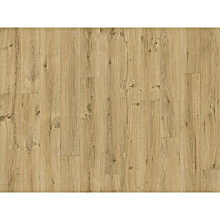 Beauflor PVC-Bodenbelag Meterware Jupiter (Wood 19, Breite: 400 cm, Braun)