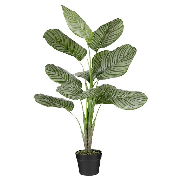 Planta artificial Calathea Orbifolia (Ø x Al: 60 x 90 cm, Plástico) | BAUHAUS