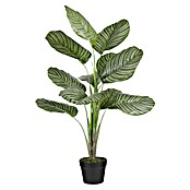Planta artificial Calathea Orbifolia (Ø x Al: 60 x 90 cm, Plástico) | BAUHAUS