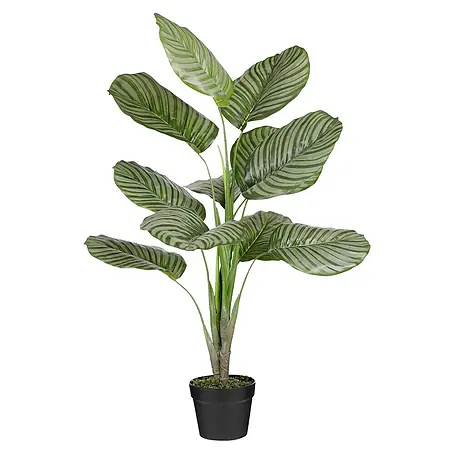 Planta artificial Calathea Orbifolia