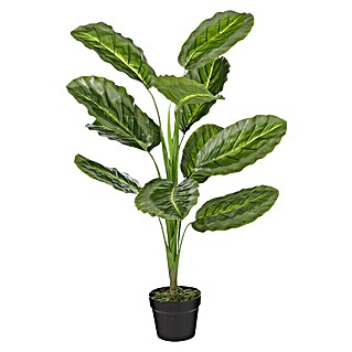 Planta artificial Calathea (Ø x Al: 60 x 90 cm, Plástico)
