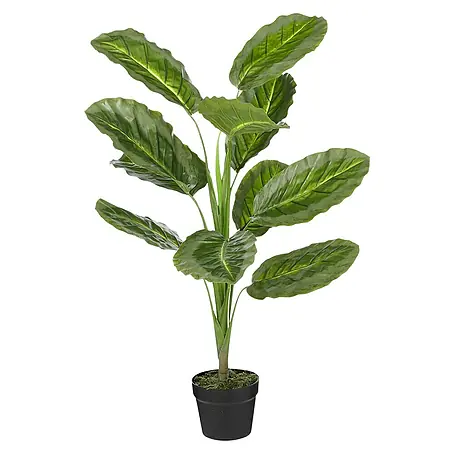 Planta artificial Calathea