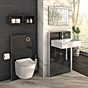 Camargue Sanitärmodul für Wand-WC (2-Mengen-Spülung, 10,8 x 48,3 x 100 cm, Schwarz)