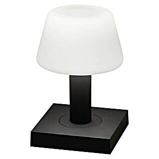 Konstsmide Lámpara de sobremesa a batería Monaco (2,5 W, L x An x Al: 12,5 x 12,5 x 19 cm, Blanco cálido)