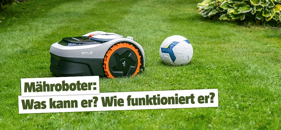 Mähroboter