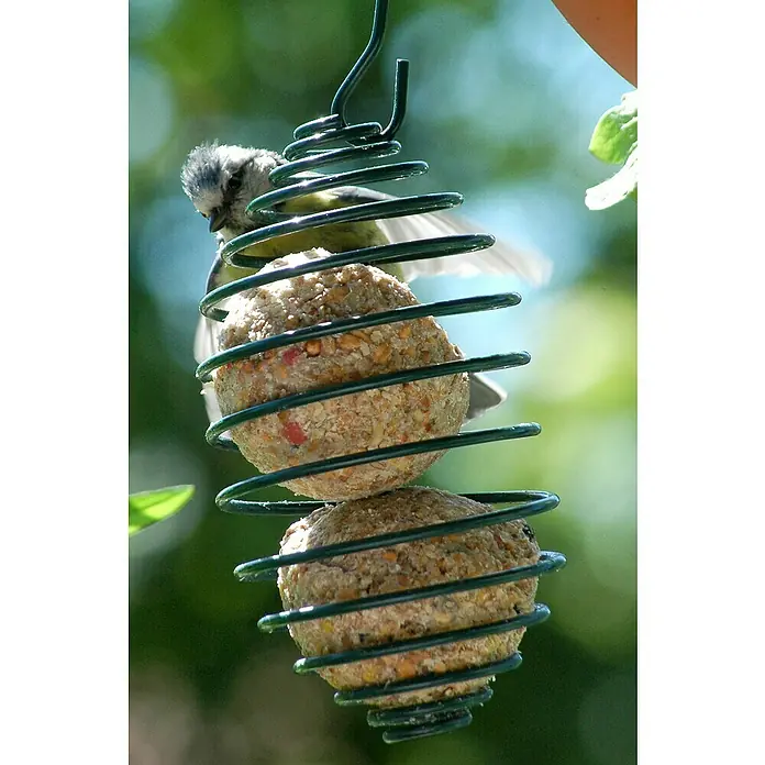 Dobar Futterspirale für Meisenknödel - Metall, Grün - Ein Blaumeisen-Vogel pickt an einem spiralförmigen Futterspender mit zwei Meisenknödeln in einem Garten.
