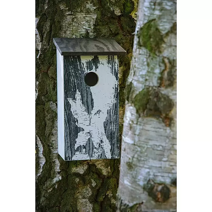 Dobar Nistkasten Betula pendula - L x B x H: 15,5 x 14,5 x 30 cm, Weiß, Holz - Stimmungsaufnahme