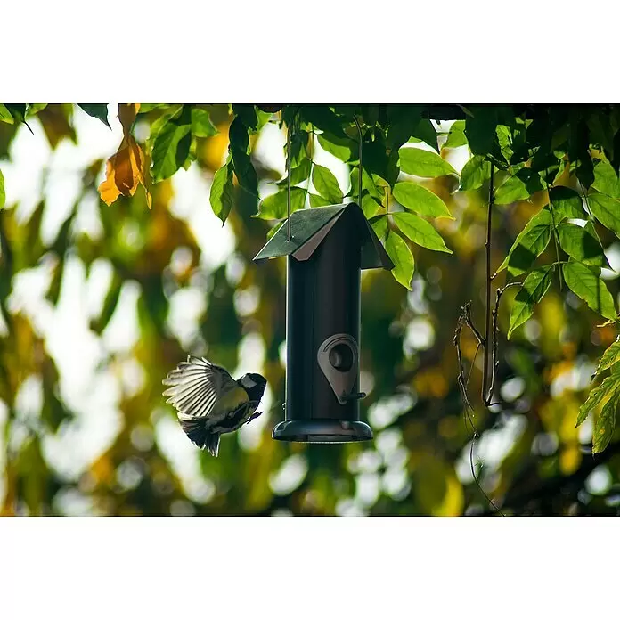 Dobar Futtersäule - 11 x 11 x 23 cm, Metall, Schwarz/Silber - Dunkles Vogelfutterhaus hängt im Baum, eine Kohlmeise fliegt darauf zu.