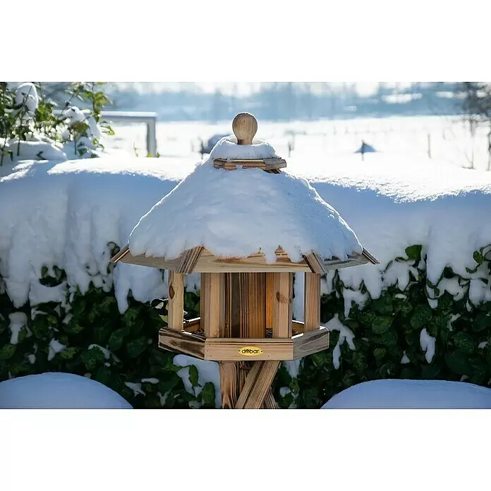 Dobar Vogelfutterhaus Brillo - L x B x H: 45 x 45 x 47 cm, Braun, Holz - Stimmungsaufnahme
