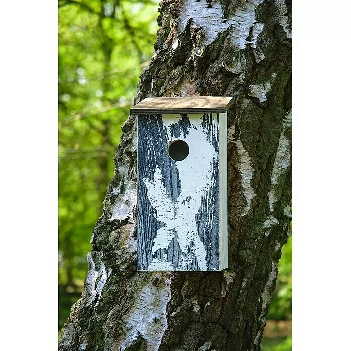 Dobar Nistkasten Betula pendula - L x B x H: 15,5 x 14,5 x 30 cm, Weiß, Holz - Stimmungsaufnahme