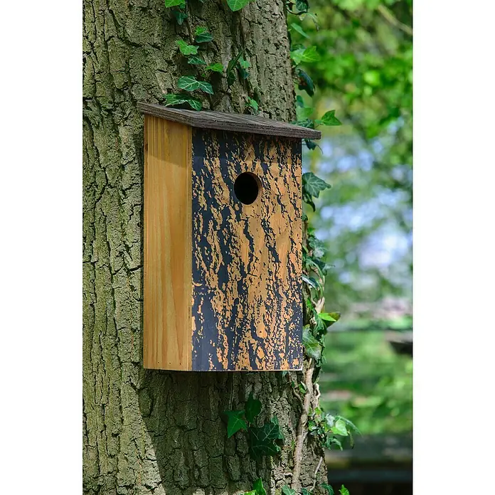 Dobar Nistkasten - L x B x H: 15,5 x 14,5 x 30 cm, Braun, Holz - Ein hölzernes Vogelhaus mit einem kleinen Loch, das an einem Baum befestigt ist, bietet ein gemütliches Zuhause für gefiederte Freunde.