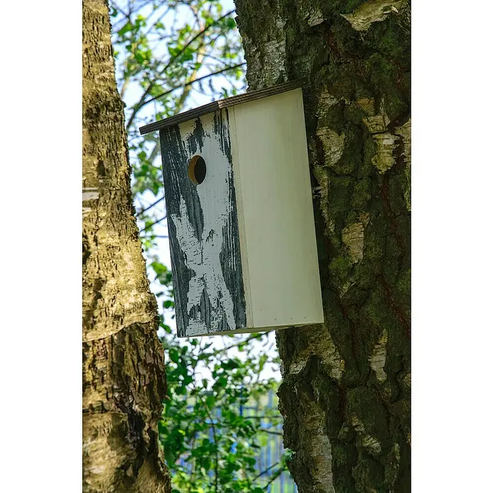 Dobar Nistkasten Betula pendula - L x B x H: 15,5 x 14,5 x 30 cm, Weiß, Holz - Ein hölzernes Vogelhaus mit einem Loch auf einem Baumstamm befestigt. Die Vorderseite des Vogelhauses ist grau-weiß gestreift.