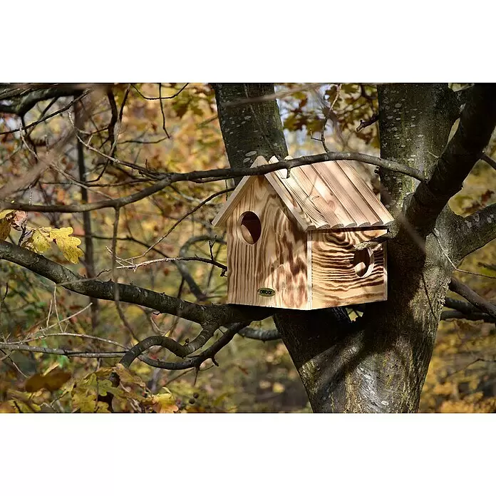 Dobar Eichhörnchenkobel - L x B x H: 26 x 26 x 29 cm, Ausstattung: 3 Eingänge - Helles Holz-Vogelhaus mit natürlicher Maserung, schrägem Dach und zwei Eingängen, in einem Baum zwischen Herbstblättern hängend.