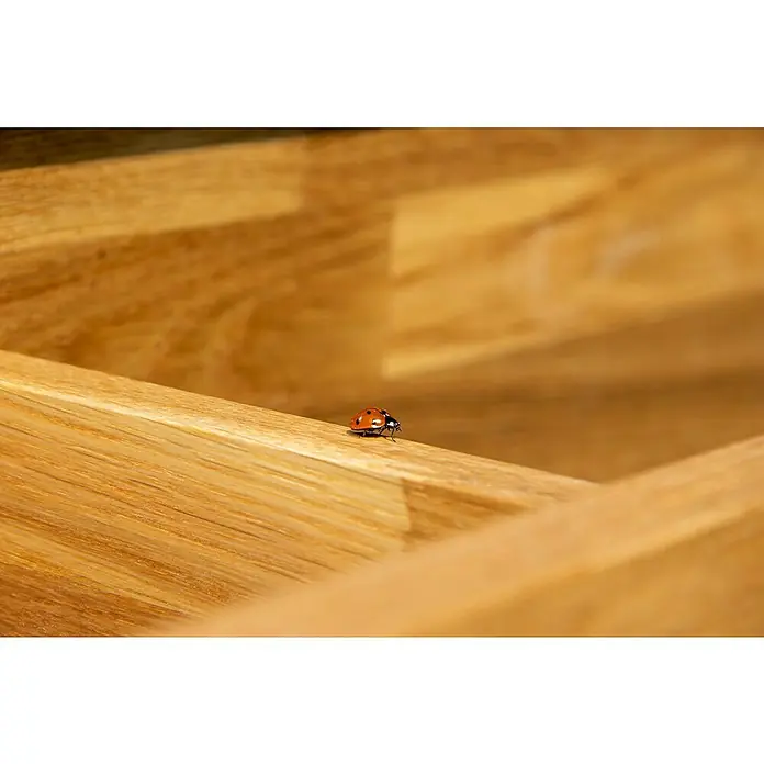 Dobar Pflanztisch Eiche - L x B x H: 117 x 62 x 124 cm - Ein Marienkäfer krabbelt über eine hölzerne Oberfläche, möglicherweise ein Möbelstück, im hellen Tageslicht.
