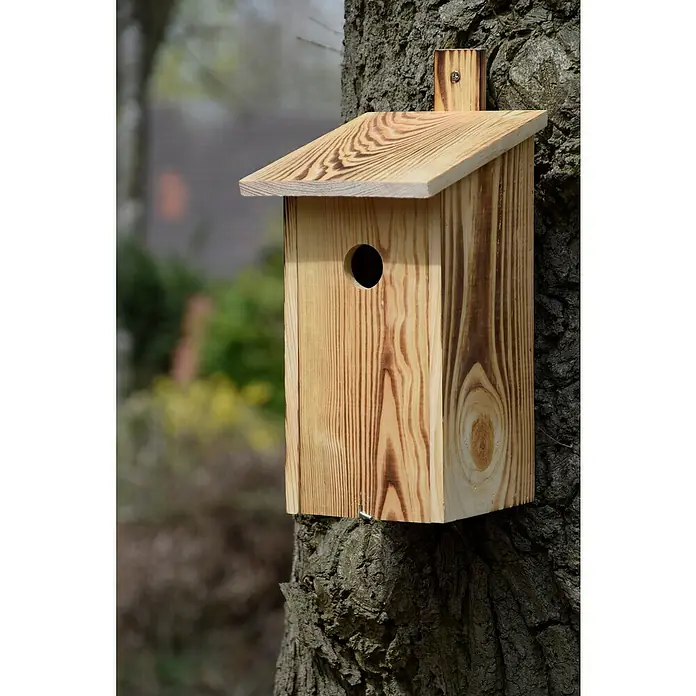 Dobar Nistkasten - 15,5 x 19 x 33 cm, Holz, Braun - Ein handgefertigtes Vogelhaus aus hellem Holz mit einem runden Einschlupfloch, sicher befestigt an einem Baumstamm im Garten.