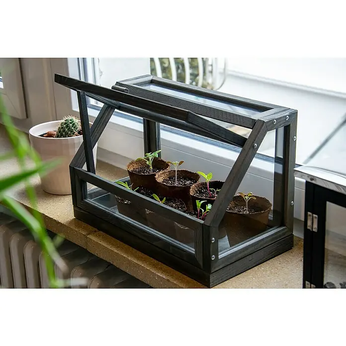Dobar Zimmergewächshaus - L x B x H: 38 x 20 x 24,5 cm, Anthrazit - Ein Mini-Gewächshaus aus Holz mit jungen Pflanzen darin steht auf einer Fensterbank. Perfekt für die Anzucht von Sämlingen.