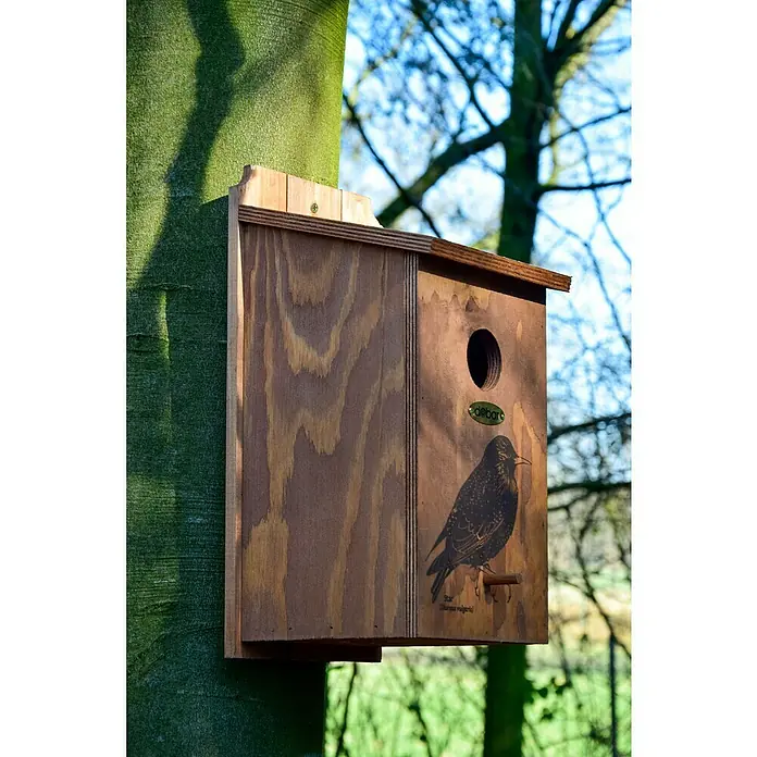 Dobar Nistkasten - L x B x H: 19 x 20 x 38 cm, Braun, Holz - Das hölzerne Vogelhaus ist an einem Baum befestigt und bietet ein sicheres Zuhause für Gartenvögel. Mit Staren-Motiv und Einflugloch.