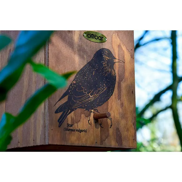 Dobar Nistkasten - L x B x H: 19 x 20 x 38 cm, Braun, Holz - Nahaufnahme eines hölzernen Nistkastens mit einem aufgedruckten Star und dem "dobar"-Logo, der sich perfekt zum Schutz von Vögeln eignet.